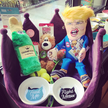 Pet toys inside of Pets on Broadway
