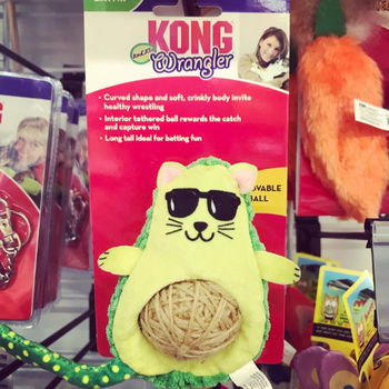 Pet toys inside of Pets on Broadway