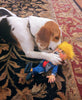 Fuzzu Political Parody - Donald Dog Toy Special Edition