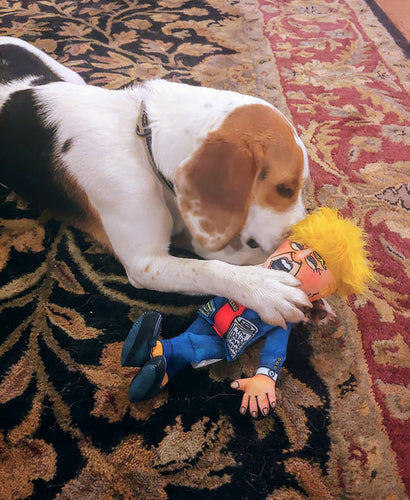 Fuzzu Political Parody - Donald Dog Toy Special Edition