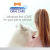 Nylabone Advanced Oral Care Senior Dog Dental Kit