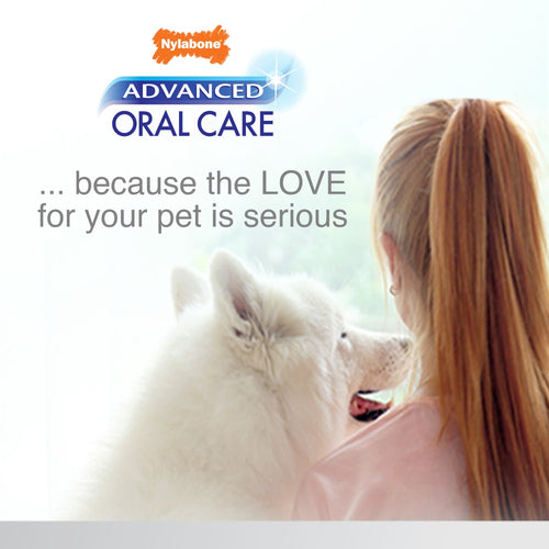 Nylabone Advanced Oral Care Senior Dog Dental Kit