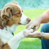 Coastal Pet Products Safari Guillotine Dog Nail Trimmer